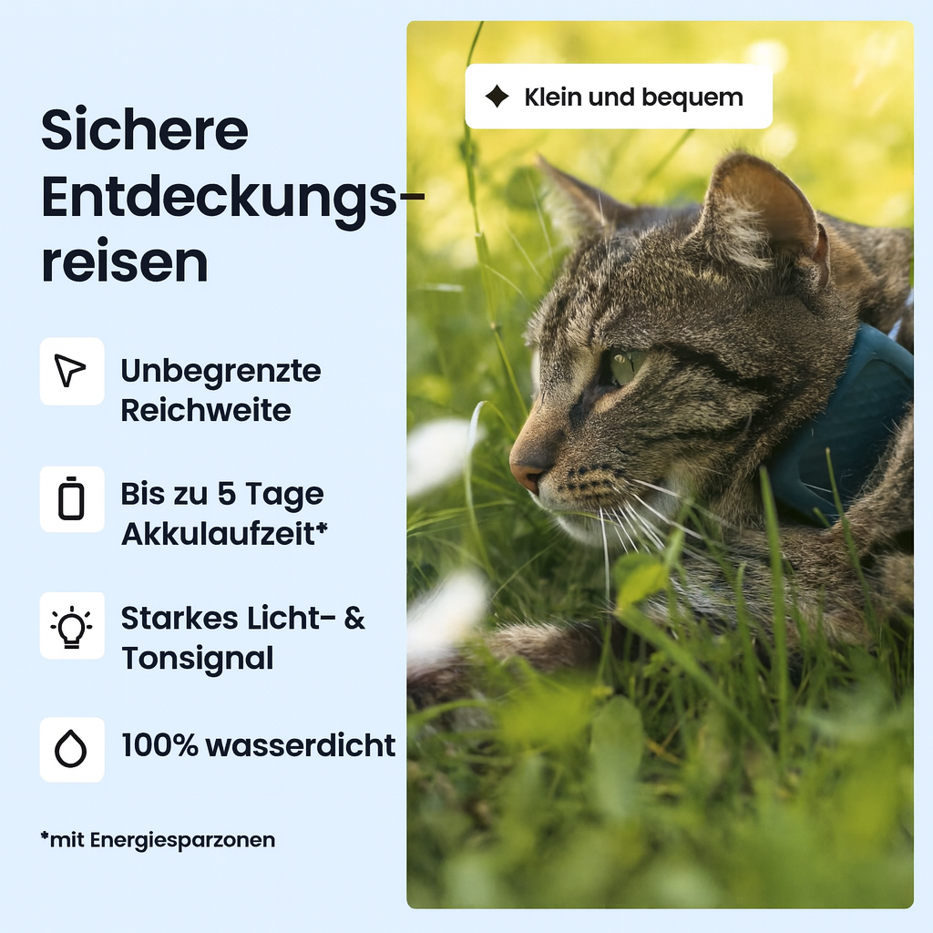 Track den Schnuffel