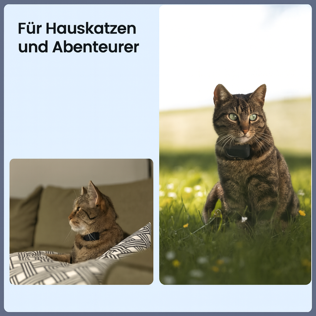 Track den Schnuffel