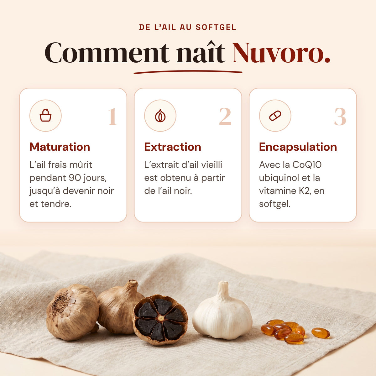 Nuvoro™ Complexe à l'ail noir en gélules molles